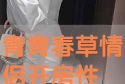 青春草视频在线,捕捉青春瞬间，记录成长足迹