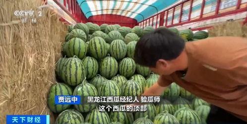 抽象带篮子娱乐吃瓜,娱乐吃瓜新风尚